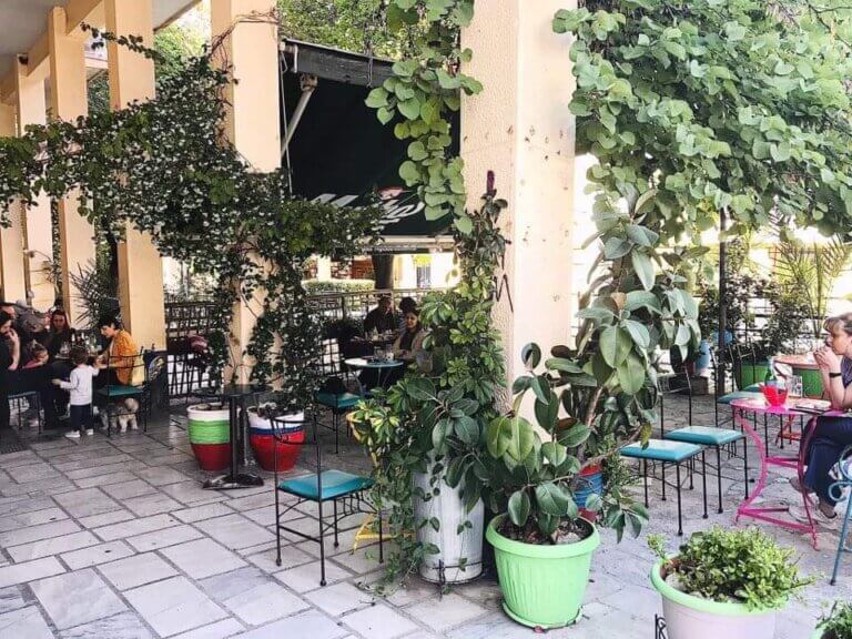 159255567 3756309614448594 6454762200496124542 n 768x576