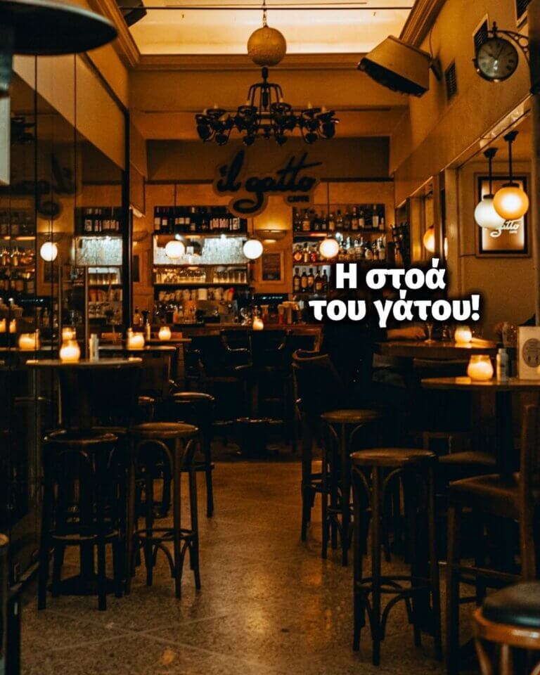 274761072 4998640446863149 4751463897322504404 n 768x960