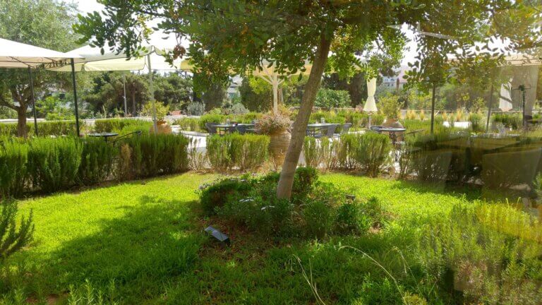 302440070 414474044143673 4289486189589272352 n 768x432