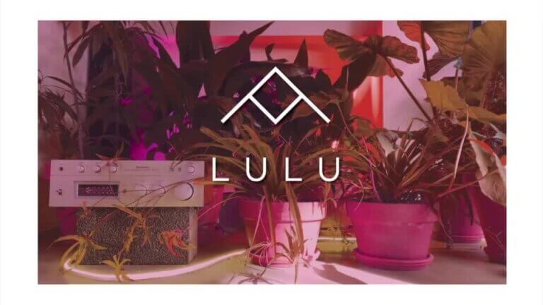 304085843 487197643413890 1957560425508917760 n 768x432