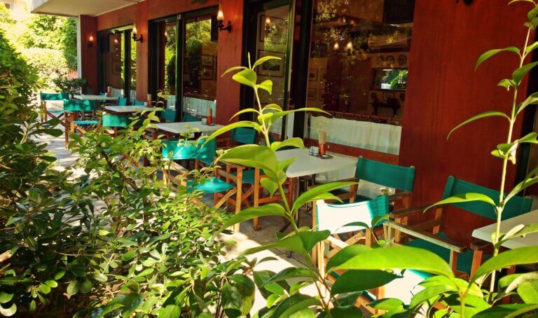 309709716 530381189008037 7125186873862288364 n 768x454