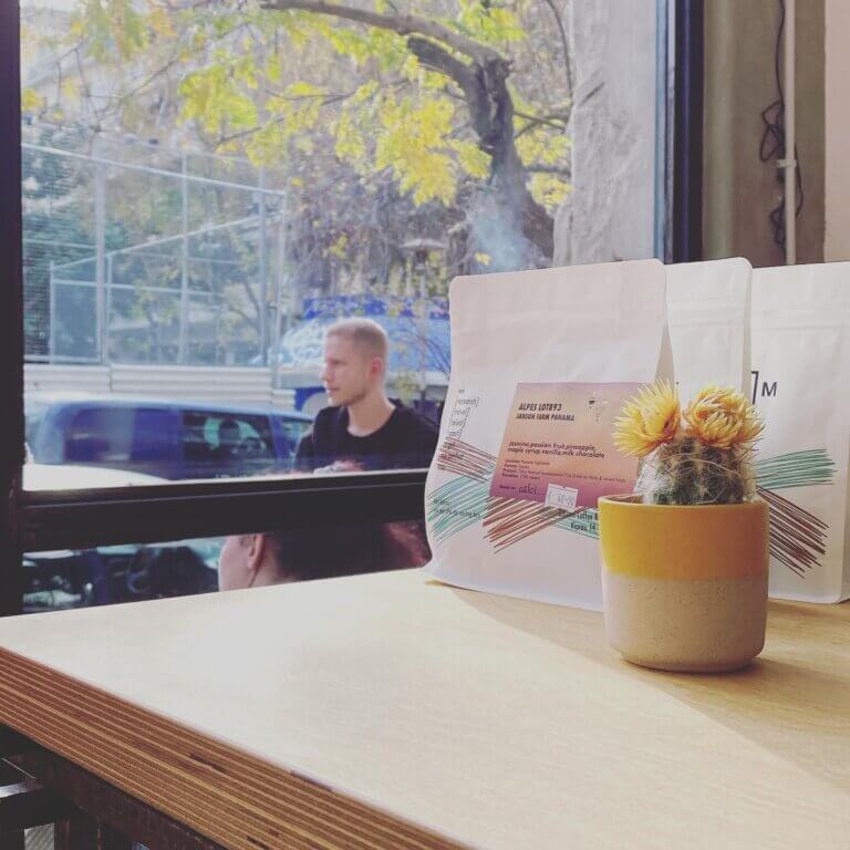 325896914 546204837437239 2062952371178600445 n 1 768x768