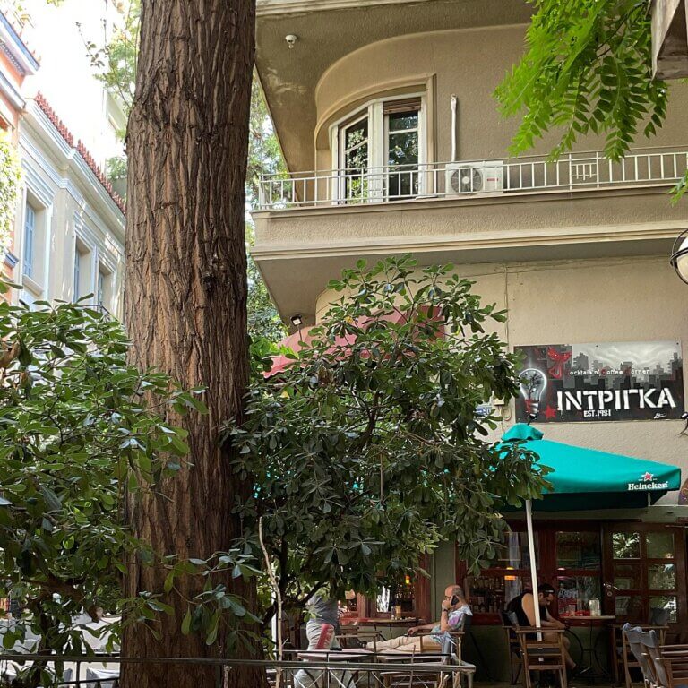 362515795 830965718417644 930778313008218669 n 768x768