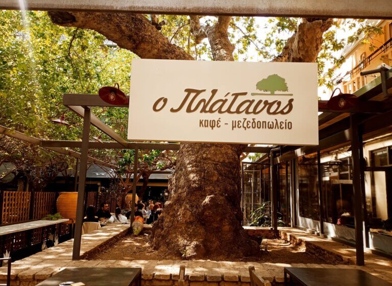 438144924 961649769302201 1113481674220732041 n 768x561