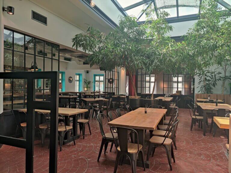 244342797 5321560427859395 7451856397763565934 n 768x576