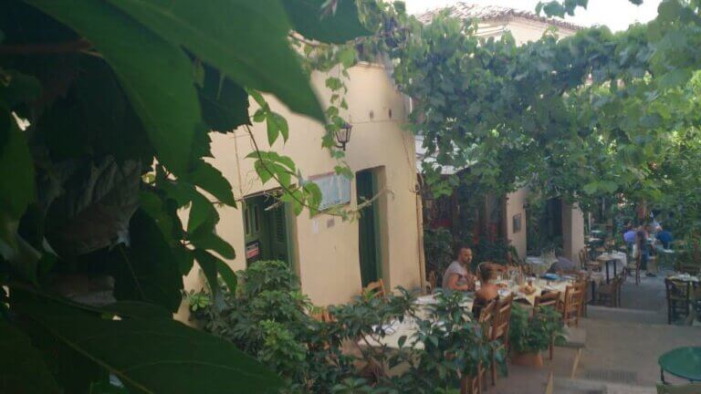 302083230 574499061040780 6189100517363830111 n 768x432