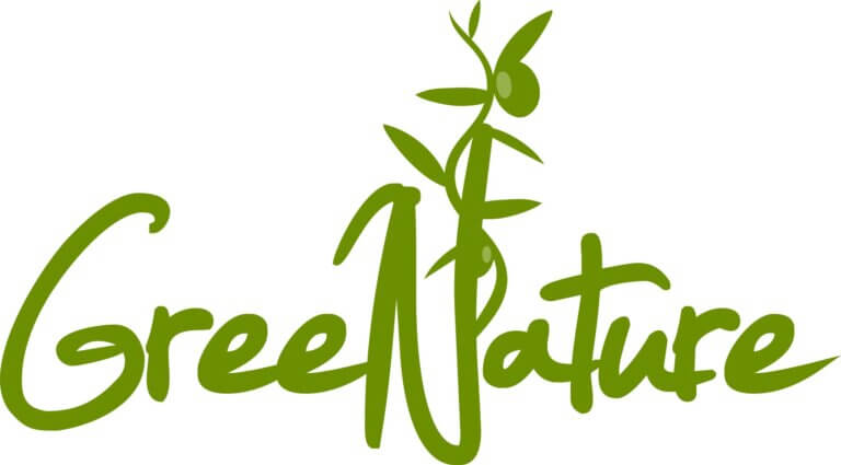 305453084 477077787761865 2207111901644080389 n 1 768x425