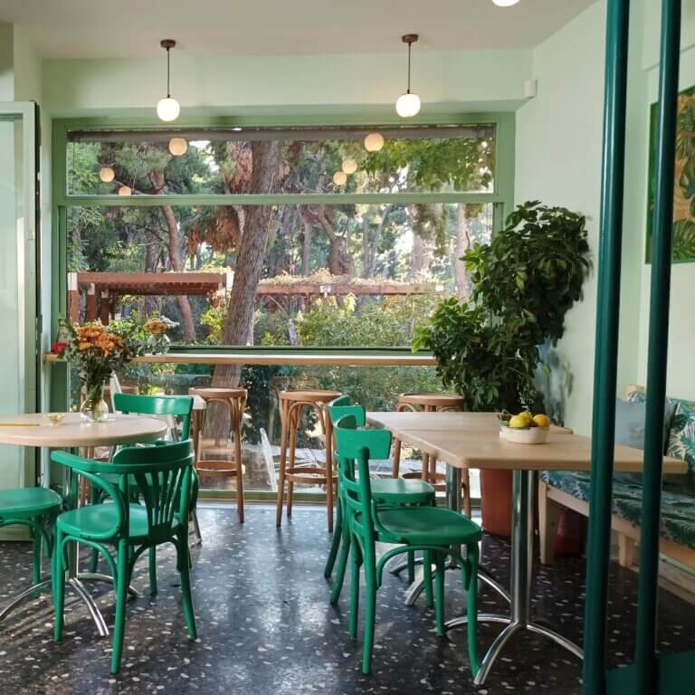 316262613 569539328509268 2115478940737847245 n 768x768