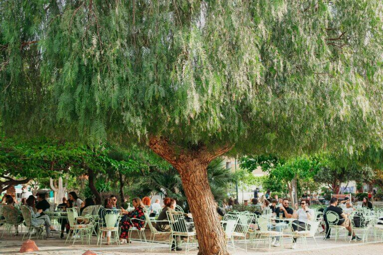 340497194 951390339549637 3070106081943724123 n 768x512