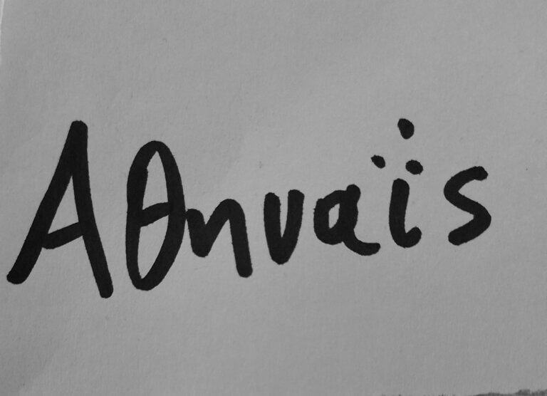 351471739 951403266008989 831870139732156238 n 768x556