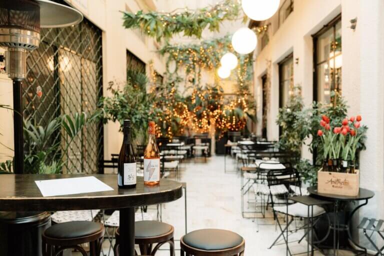 355693544 235781575877159 8903344791076804751 n 768x512