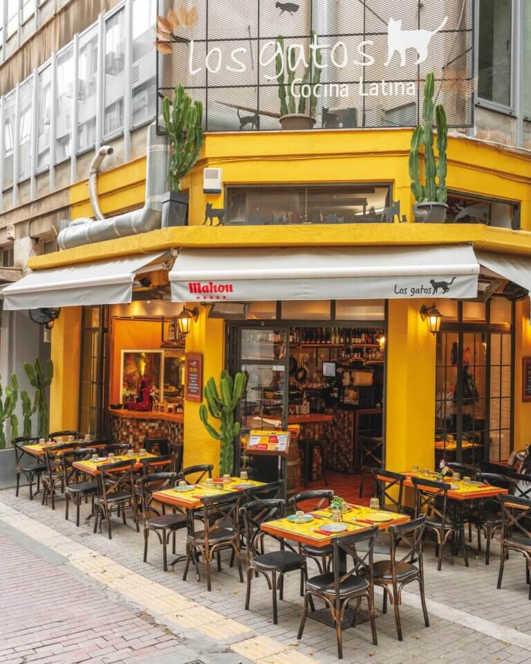 377873737 18315200566101625 311690476419194118 n 768x959