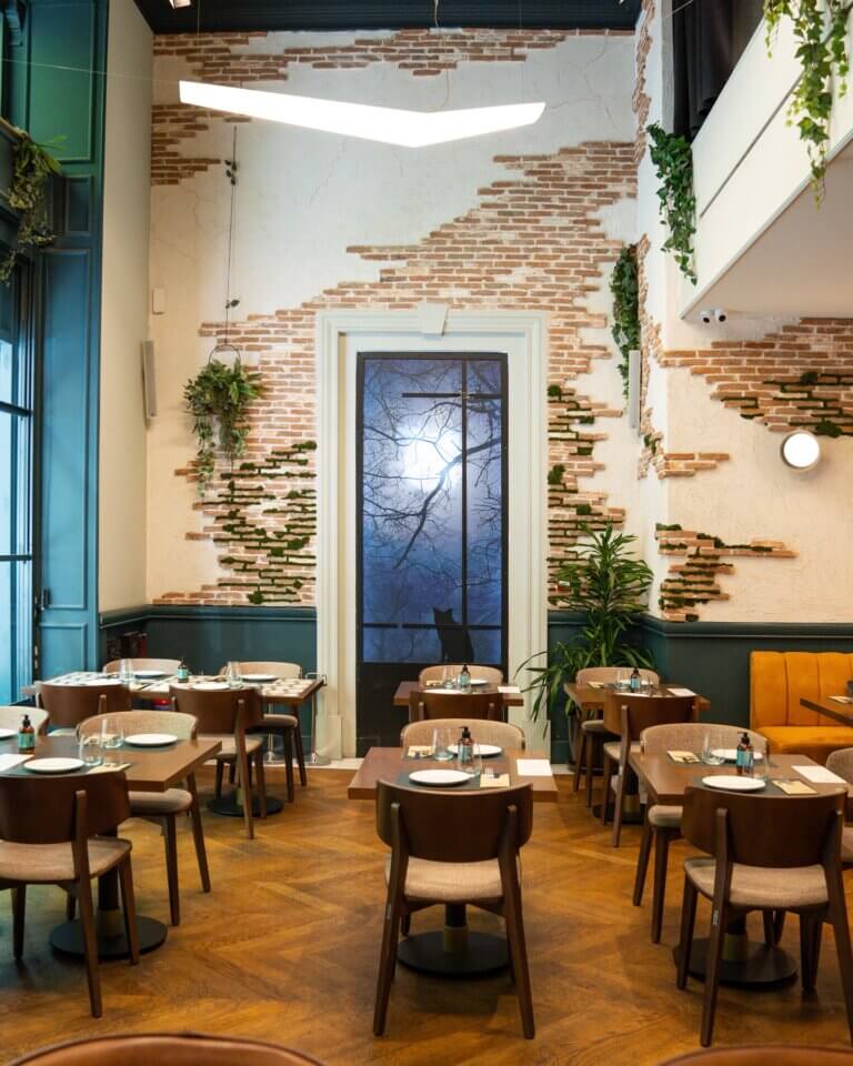 453487276 18069020623563739 5378394720002837840 n 768x960