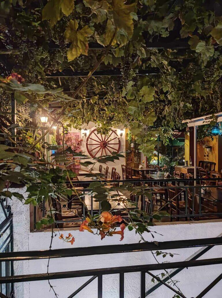 453738603 988581706601248 3706752401063063501 n 768x1032