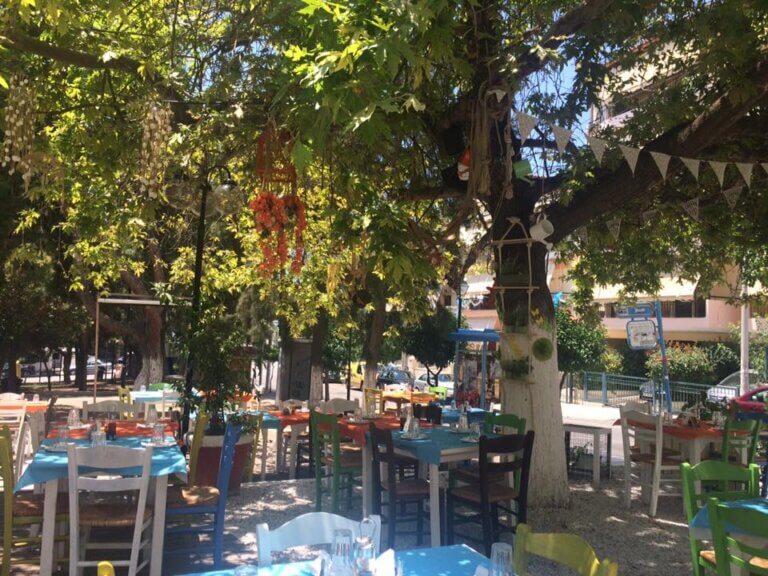 11113183 448112368695507 3855143480579494591 n 768x576