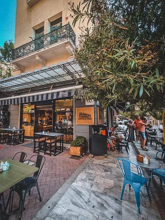 239522784 6346881695323693 5387780314555084966 n