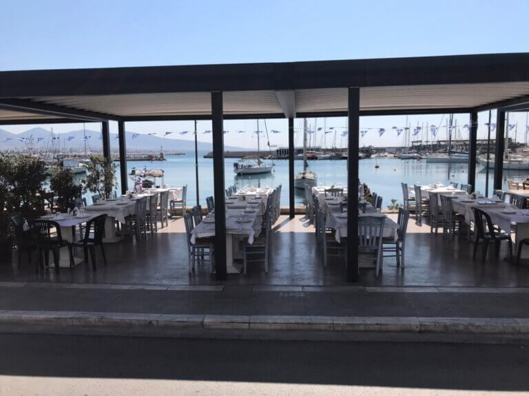 277167110 4673867752712018 2232791513384214131 n 1 768x575