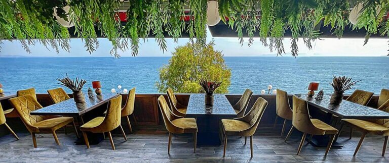 281880286 398797075587510 8533352838022192614 n 1 768x323