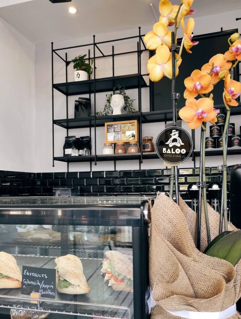 387102936 122122494818035530 7815141373237901037 n 768x1016