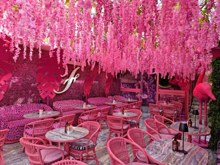 459196983 18458334079021575 5315856113760489131 n 1 768x576