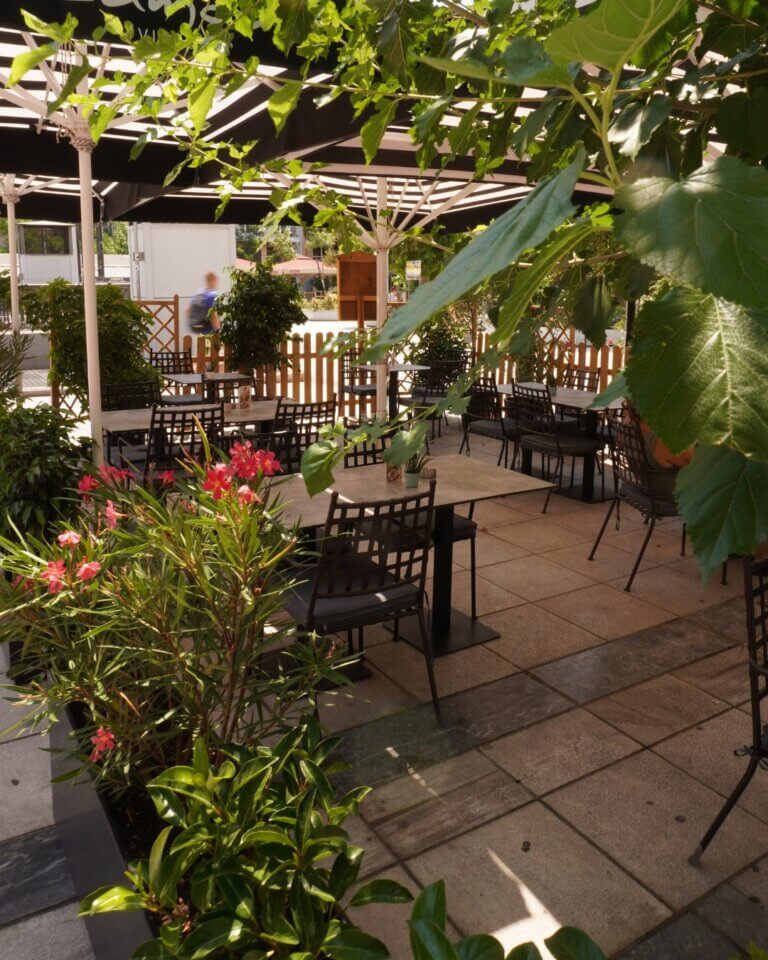 366050683 200367613033888 4553070614599838106 n 1 768x960