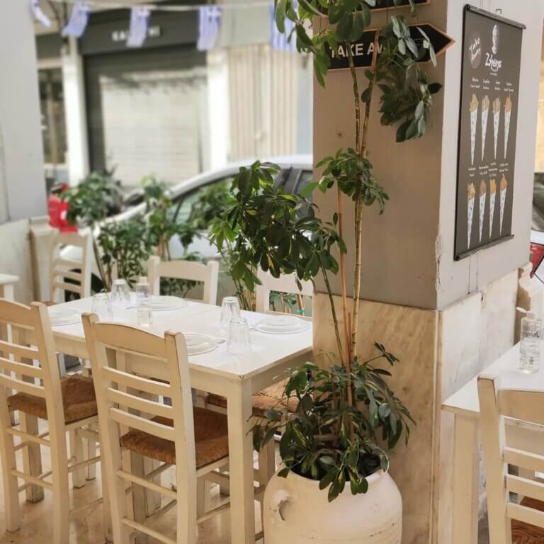 289109402 3241352942776712 726492116550065965 n 768x768