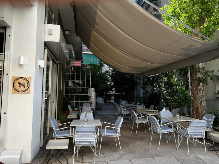 Το Ρινι1 768x575