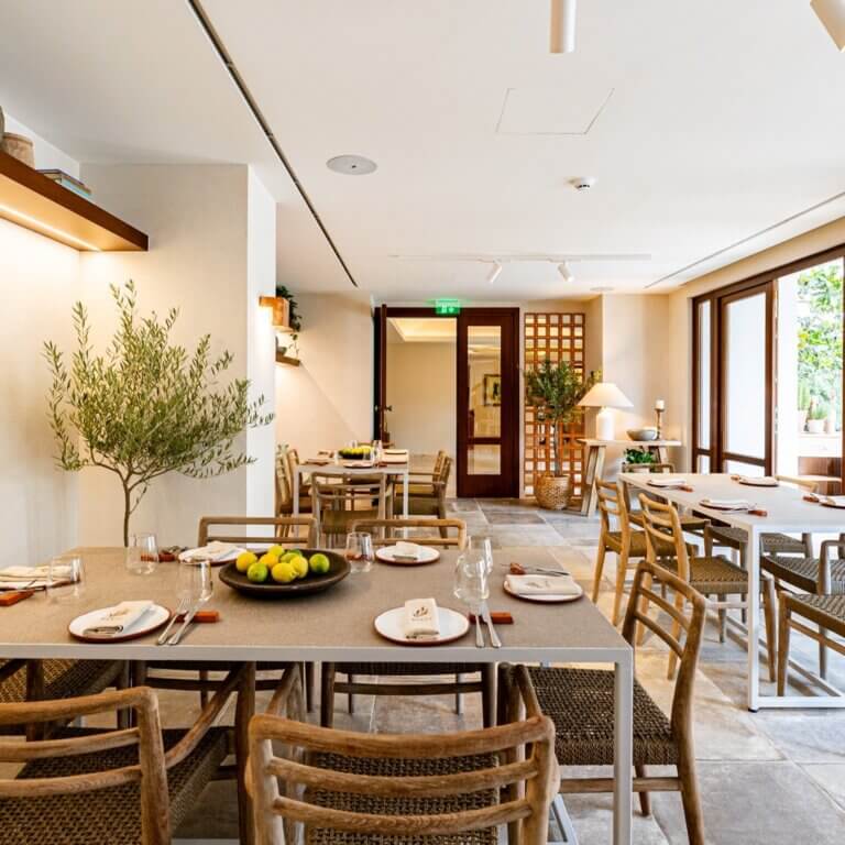 402889038 649613654047828 1863766895362732188 n 768x768