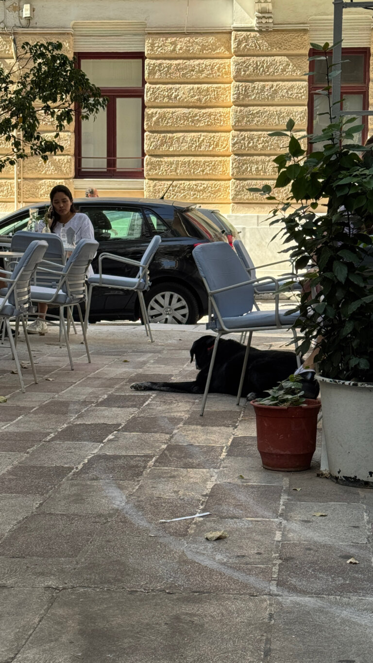 Το Ρινι21 768x1365